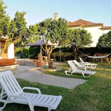 Centenaria Apartmán Oiã