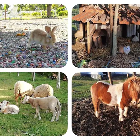 Centenaria Apartmán Oiã