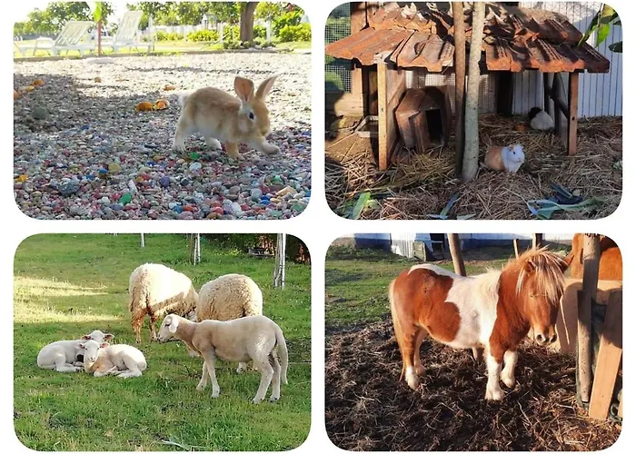 Centenária Apartamento Oiã